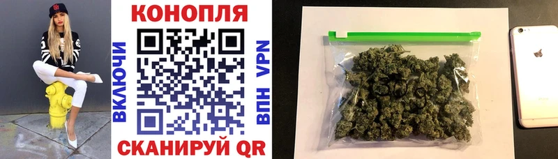 где найти наркотики  Циолковский  Конопля OG Kush 